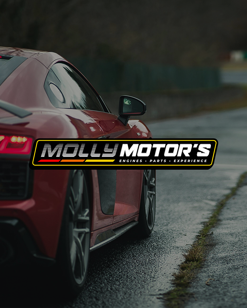 Molly Motor's